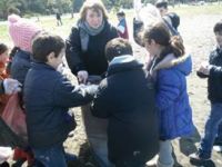 103004323420537093170701597260265704990914n---Copy---Copy