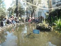 110157513420599459831132237533853763195190n---Copy---Copy