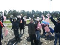 110796383420532593171157017995380478370573n---Copy---Copy