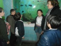 110731913420525159838561594405033450483363n---Copy---Copy