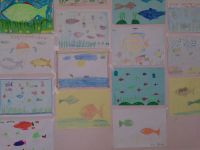 DSC0658---Copy---Copy